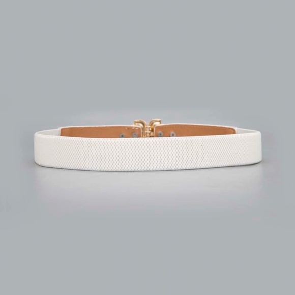 White Faux, Vegan Leather Detail Gold Tone Buckle Elastic Skinny Belt - Picture 2 of 3